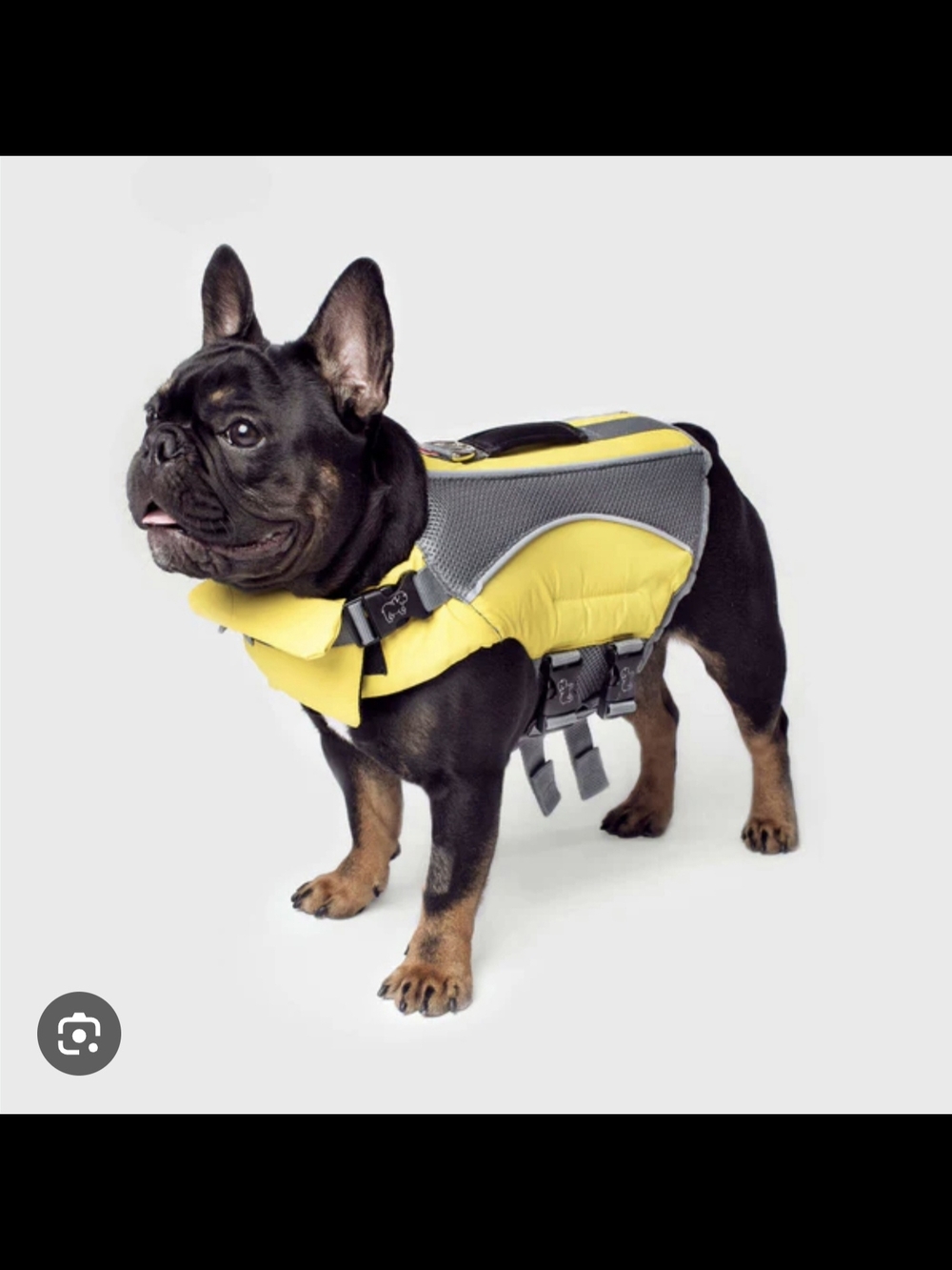High-Visibility Yellow Dog Life Vest with Padded Handle